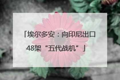 埃尔多安：向印尼出口48架“五代战机”