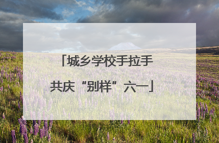 城乡学校手拉手 共庆“别样”六一