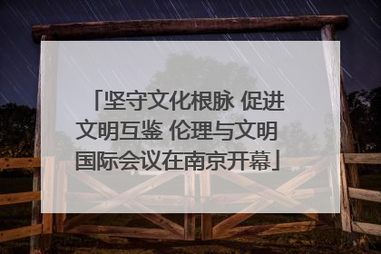 坚守文化根脉 促进文明互鉴 伦理与文明国际会议在南京开幕