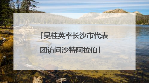吴桂英率长沙市代表团访问沙特阿拉伯