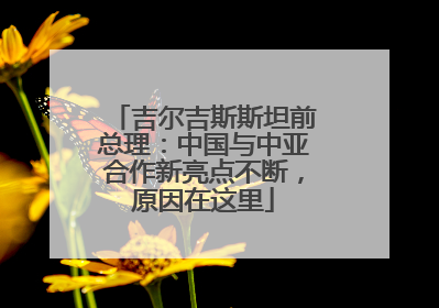 吉尔吉斯斯坦前总理：中国与中亚合作新亮点不断，原因在这里