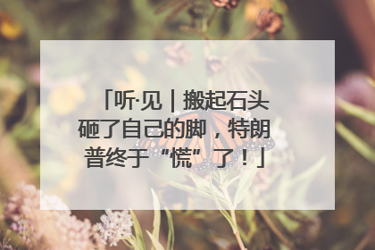 听·见｜搬起石头砸了自己的脚，特朗普终于“慌”了！
