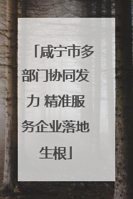 咸宁市多部门协同发力 精准服务企业落地生根