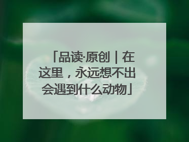 品读·原创｜在这里，永远想不出会遇到什么动物