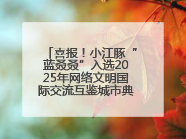 喜报！小江豚“蓝叒叒”入选2025年网络文明国际交流互鉴城市典型案例