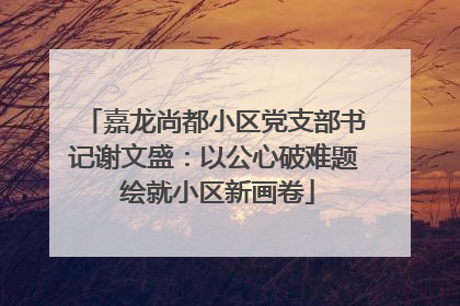 嘉龙尚都小区党支部书记谢文盛：以公心破难题 绘就小区新画卷