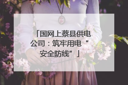 国网上蔡县供电公司：筑牢用电“安全防线”