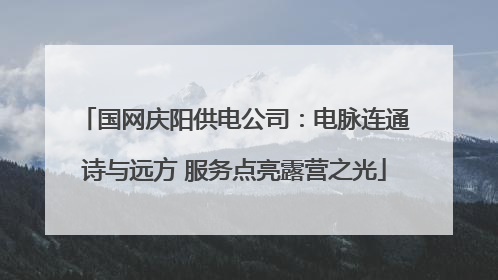 国网庆阳供电公司：电脉连通诗与远方 服务点亮露营之光