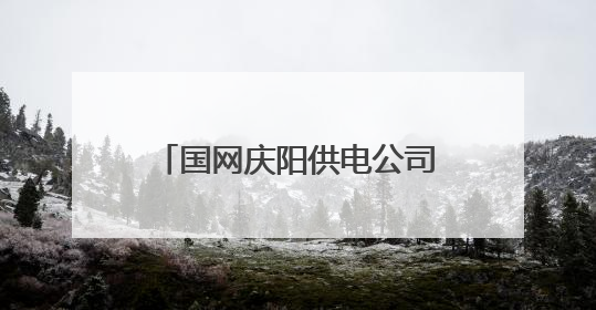 国网庆阳供电公司：精益巡检不停歇 迎峰度夏保供电