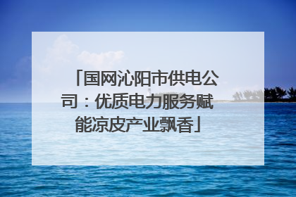 国网沁阳市供电公司：优质电力服务赋能凉皮产业飘香