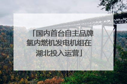 国内首台自主品牌氢内燃机发电机组在湖北投入运营