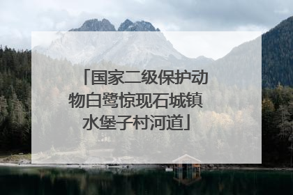 国家二级保护动物白鹭惊现石城镇水堡子村河道