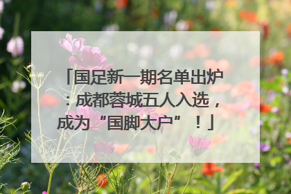 国足新一期名单出炉：成都蓉城五人入选，成为“国脚大户”！