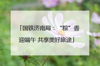 国铁济南局：“粽”香迎端午 共享美好旅途