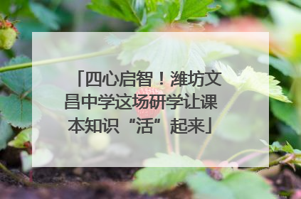 四心启智！潍坊文昌中学这场研学让课本知识“活”起来