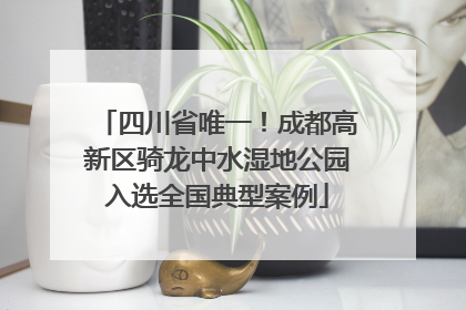 四川省唯一！成都高新区骑龙中水湿地公园入选全国典型案例