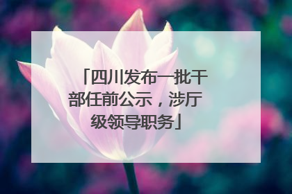 四川发布一批干部任前公示，涉厅级领导职务
