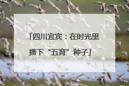 四川宜宾：在时光里播下“五育”种子