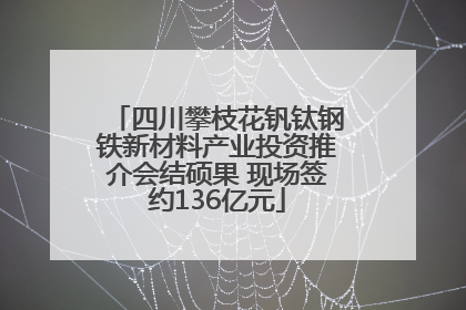 四川攀枝花钒钛钢铁新材料产业投资推介会结硕果 现场签约136亿元