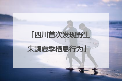 四川首次发现野生朱鹮夏季栖息行为