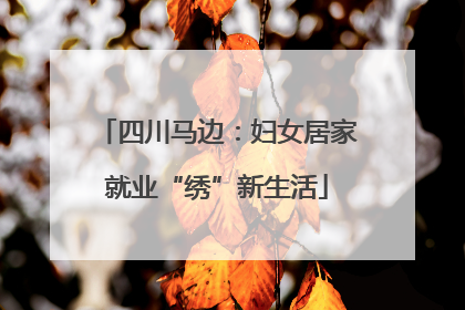 四川马边：妇女居家就业“绣”新生活