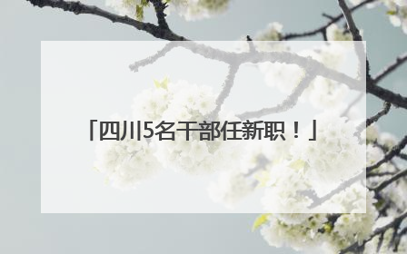 四川5名干部任新职！