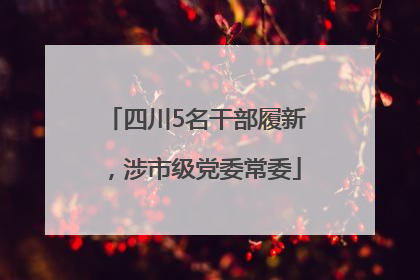 四川5名干部履新，涉市级党委常委