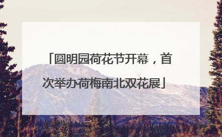 圆明园荷花节开幕，首次举办荷梅南北双花展