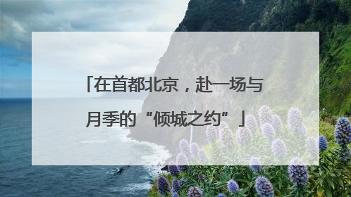 在首都北京，赴一场与月季的“倾城之约”