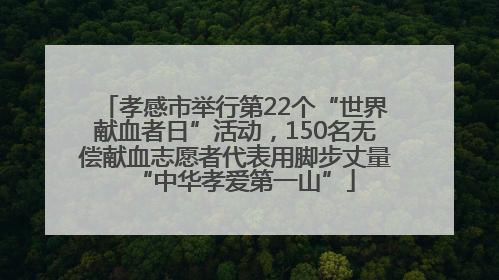孝感市举行第22个“世界献血者日”活动，150名无偿献血志愿者代表用脚步丈量“中华孝爱第一山”