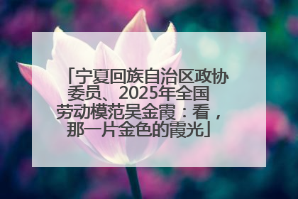 宁夏回族自治区政协委员、2025年全国劳动模范吴金霞：看，那一片金色的霞光