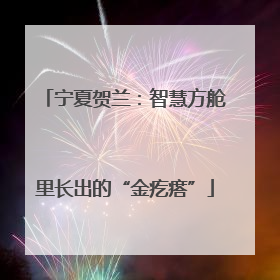 宁夏贺兰：智慧方舱里长出的“金疙瘩”