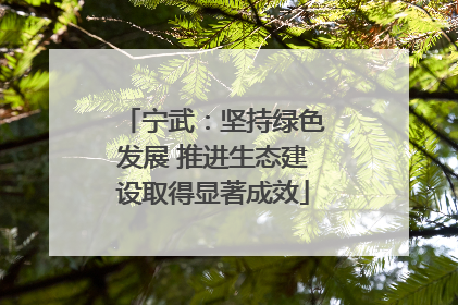 宁武：坚持绿色发展 推进生态建设取得显著成效