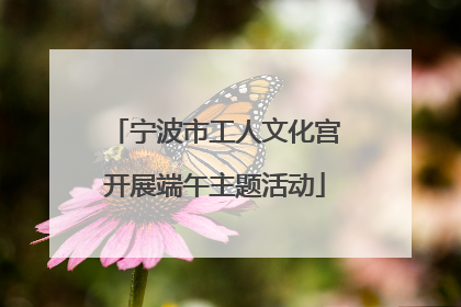 宁波市工人文化宫开展端午主题活动