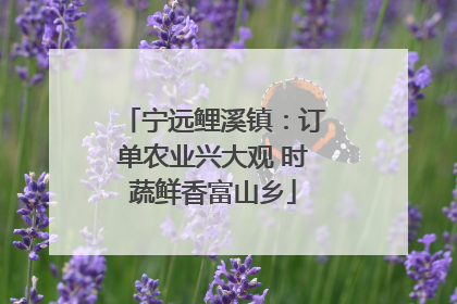 宁远鲤溪镇：订单农业兴大观 时蔬鲜香富山乡