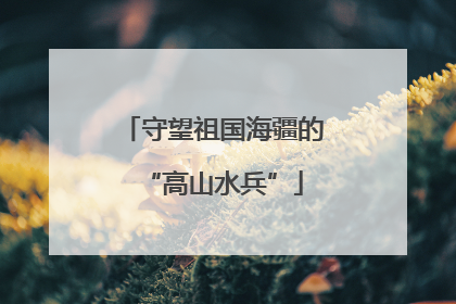 守望祖国海疆的“高山水兵”