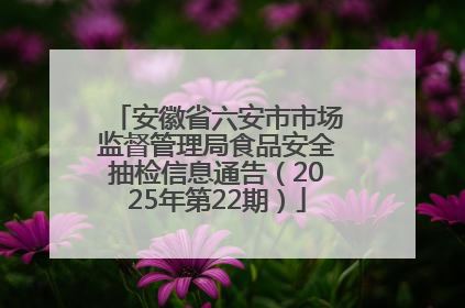 安徽省六安市市场监督管理局食品安全抽检信息通告（2025年第22期）