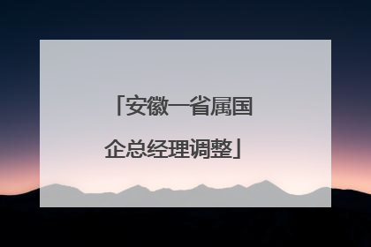 安徽一省属国企总经理调整
