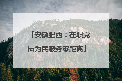 安徽肥西：在职党员为民服务零距离