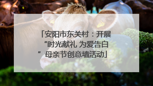 安阳市东关村：开展“时光献礼 为爱告白”母亲节创意墙活动