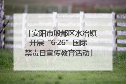 安阳市殷都区水冶镇开展“6·26”国际禁毒日宣传教育活动