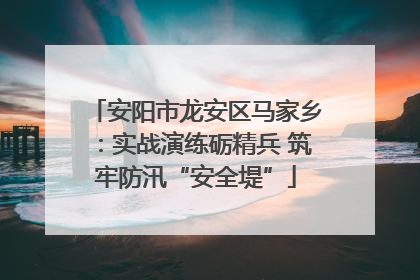 安阳市龙安区马家乡：实战演练砺精兵 筑牢防汛“安全堤”