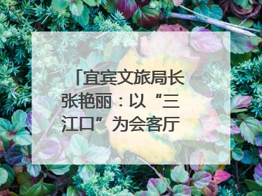 宜宾文旅局长张艳丽：以“三江口”为会客厅，打造近悦远来的国际旅游城市｜文旅局长说