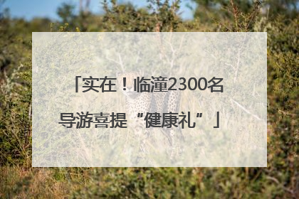实在！临潼2300名导游喜提“健康礼”