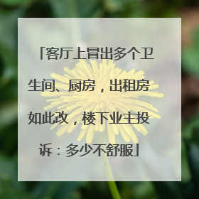 客厅上冒出多个卫生间、厨房，出租房如此改，楼下业主投诉：多少不舒服
