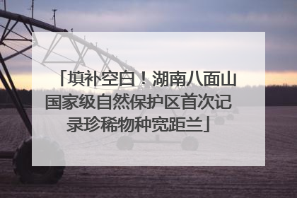 填补空白！湖南八面山国家级自然保护区首次记录珍稀物种宽距兰
