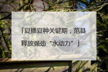 夏播夏种关键期，范县释放强劲“水动力”