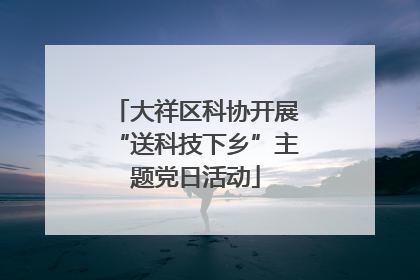 大祥区科协开展“送科技下乡”主题党日活动