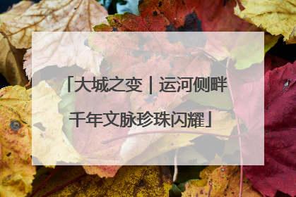 大城之变｜运河侧畔 千年文脉珍珠闪耀