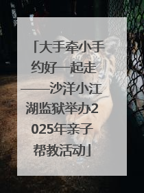 大手牵小手 约好一起走——沙洋小江湖监狱举办2025年亲子帮教活动